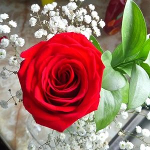 Meet your Posher, Brandy